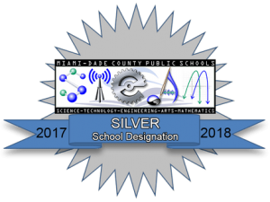 steam silver designation